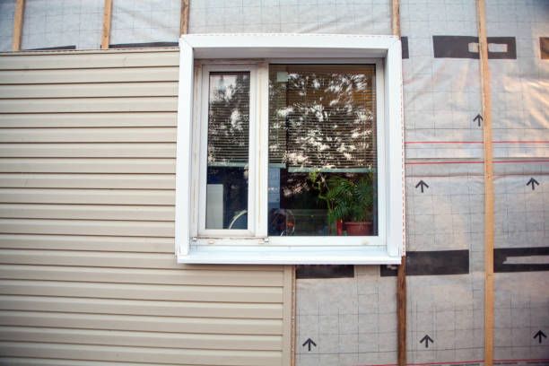 Best Vinyl Siding Installation  in Dilkon, AZ